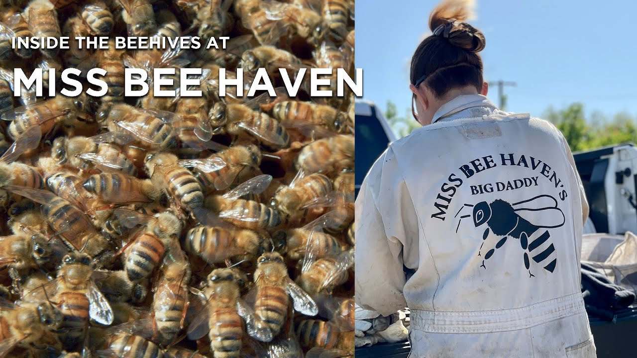 Confessions of a Newbie Beekeeper – Oakland County Blog