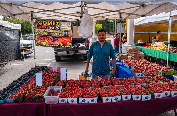 Gomez Berry Farm