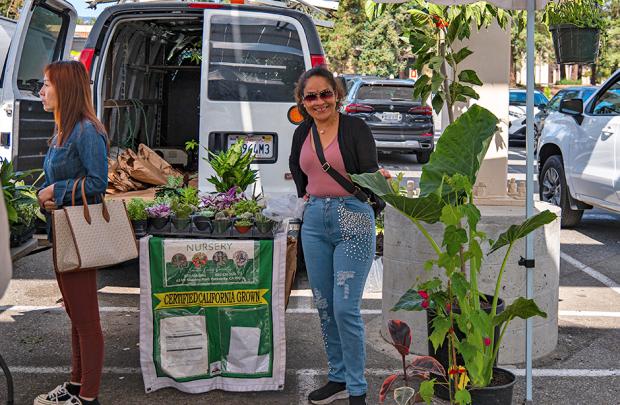 Hernandez Nursery