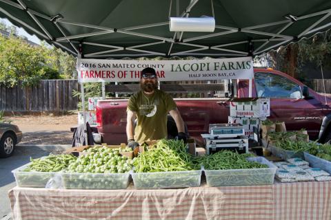 Iacopi Farms