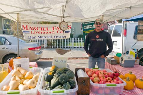 Marciel Farms