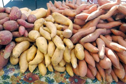 Sweet Potatoes (2)