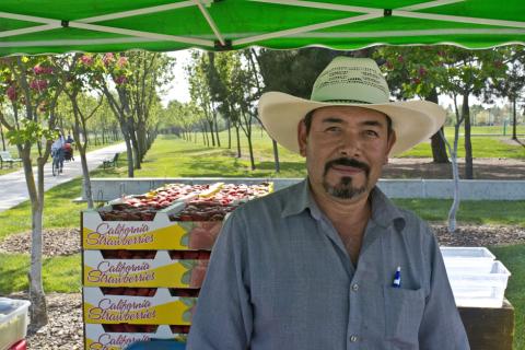 Lemus Farms