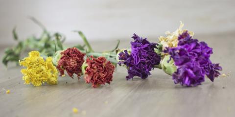 Dried flowers