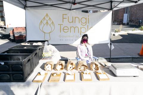 Fungi Temple vendor behind stall full of mushrooms