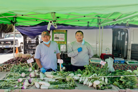 Mova's Farm workers at stall