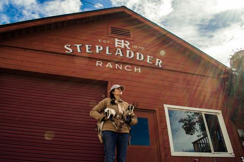 Stepladder Ranch & Creamery