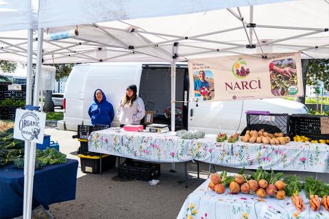 The Narci Organic Farm booth at the Milpitas Farmers' Market