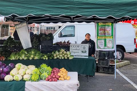 Orozco Farms stall at the Danville Farmers' Market