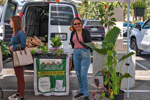 Hernandez Nursery