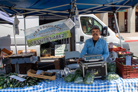 Smiling owner of Ald & Y Organic behind a table full of produce at the Evergreen Farmers' Market