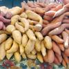 Sweet Potatoes (2)