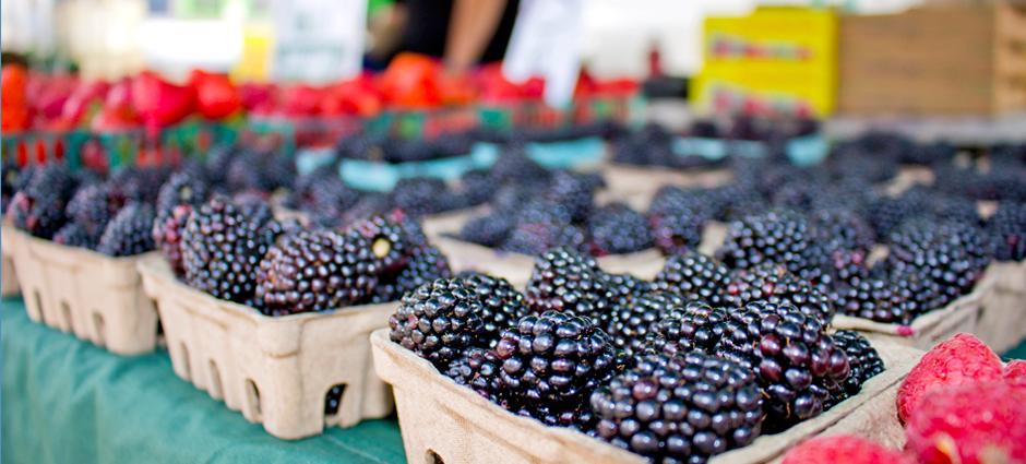 Mixed Berries