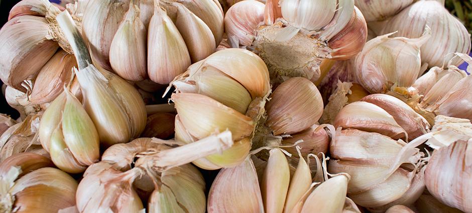 Garlic Cloves