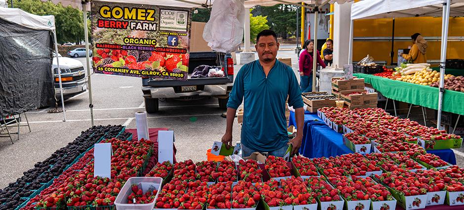 Gomez Berry Farm